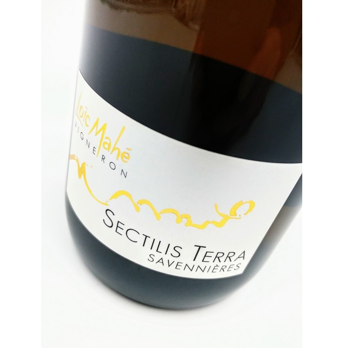 Sectilis Terra - Loic Mahé