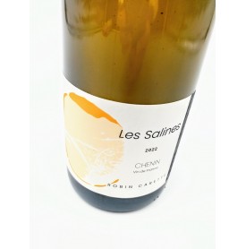 Les Salines