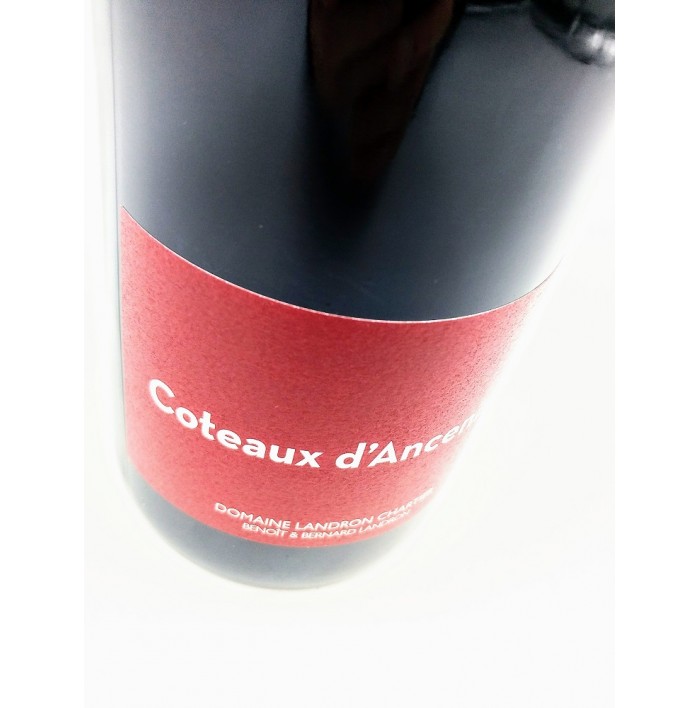 Coteaux D' Ancenis - Domaine Landron Chartier