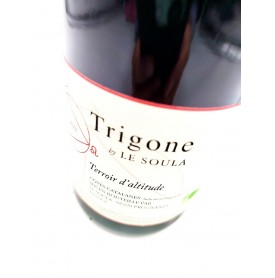 Trigone