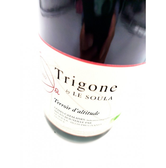 Trigone - Le Soula