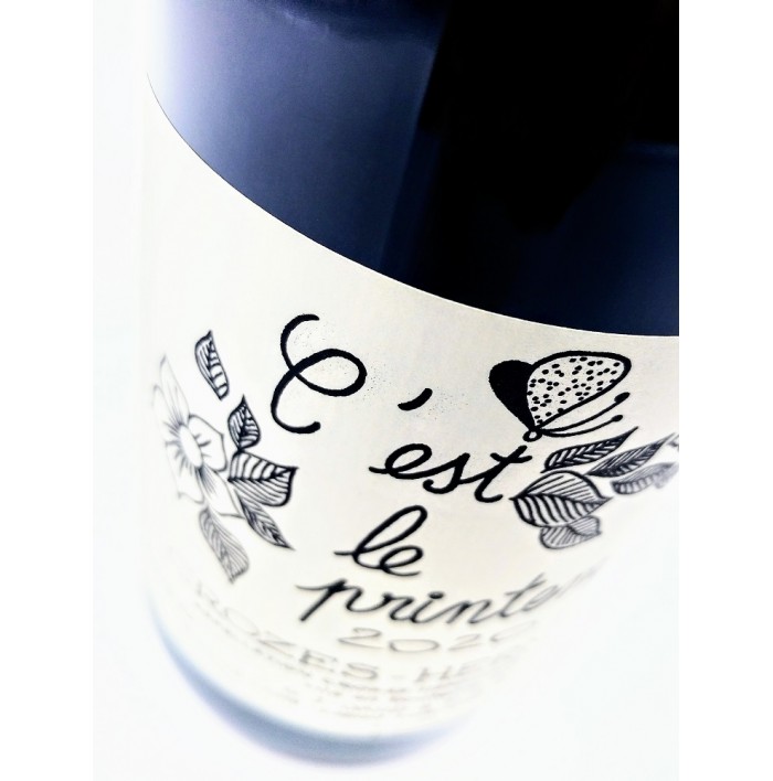 C' Est Le Printemps - Dard & Ribo