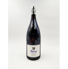 Torus