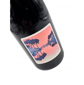 Christiane VDF RGE 2023 POPIHN