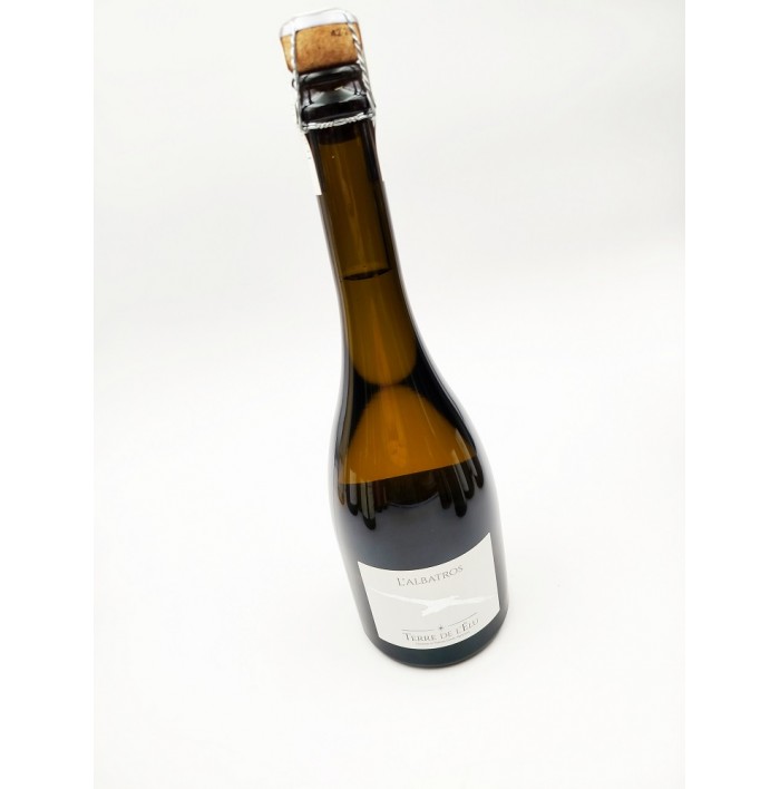 L' Albatros - Terre De L' Elu