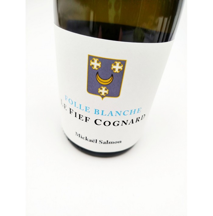 Fief Cognard - Lucas Salmon