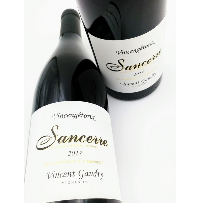 Vincengétorix - Vincent Gaudry