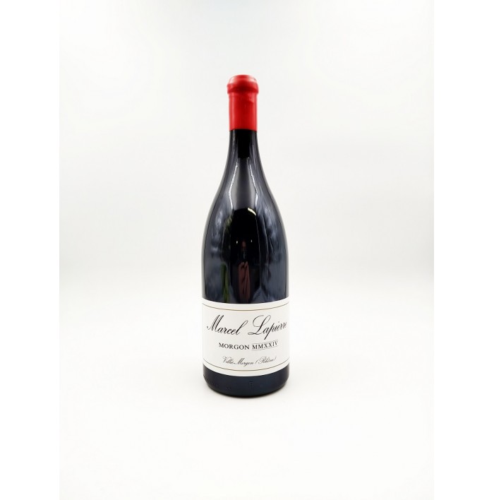 Morgon Mmxxiv - Domaine Marcel Lapierre