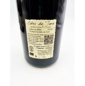 Julien en Billat - L'Enfant terrible du Sud