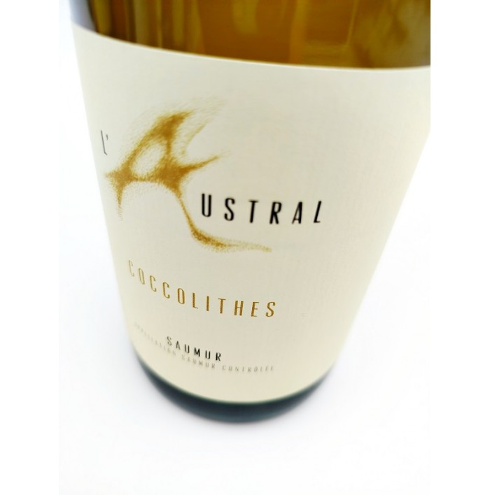 Coccolithes - L' Austral