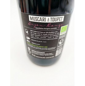 Muscari à Toupet