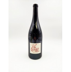 Autour du Cinsault