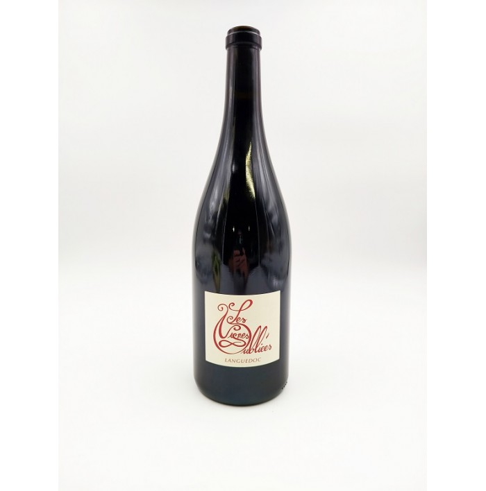Autour Du Cinsault - Les Vignes Oubliées