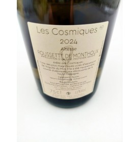 Les Cosmiques