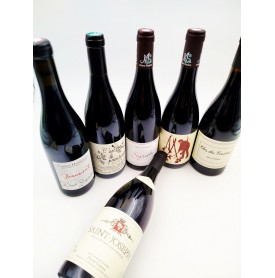 PACK GONON SYRAH NORD