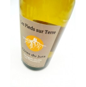 Les Trouillots Savagnin