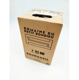 BOURGUEIL ROUGE PETIT BONDIEU BIB 5L