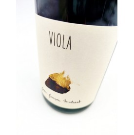 Viola