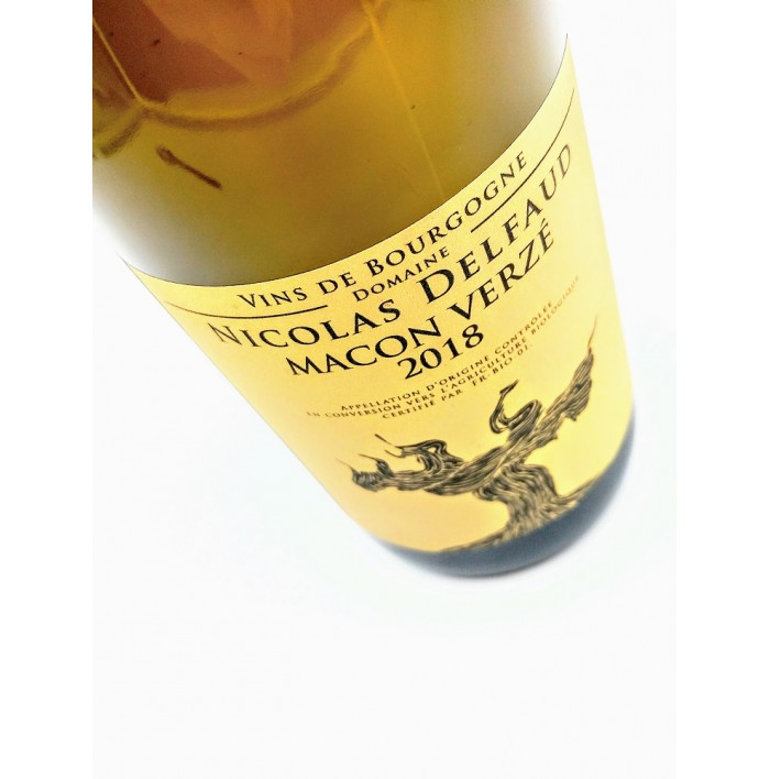 Macon Verzé - Domaine Nicolas Delfaud