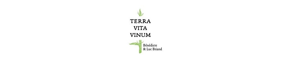 TERRA VITA VINUM