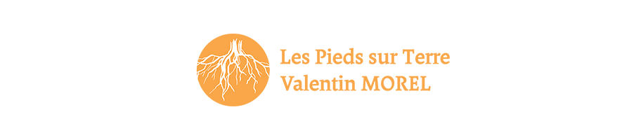 Valentin Morel